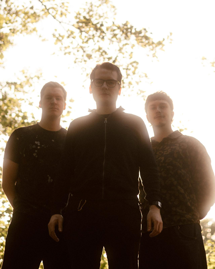 Bandfoto Stomping Elephants